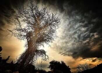 זאת תורת המשפחה: המשמעות העמוקה של ספר בראשית