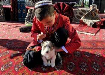 הלו, הלו אבא: משפחתי וחיות אחרות