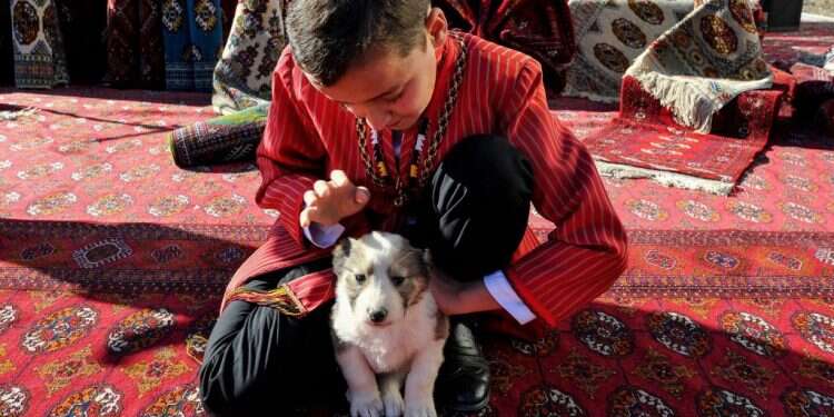הלו, הלו אבא: משפחתי וחיות אחרות