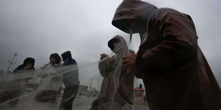 בחמאס הבינו שניתן לסחוט את ישראל עד הבחירות