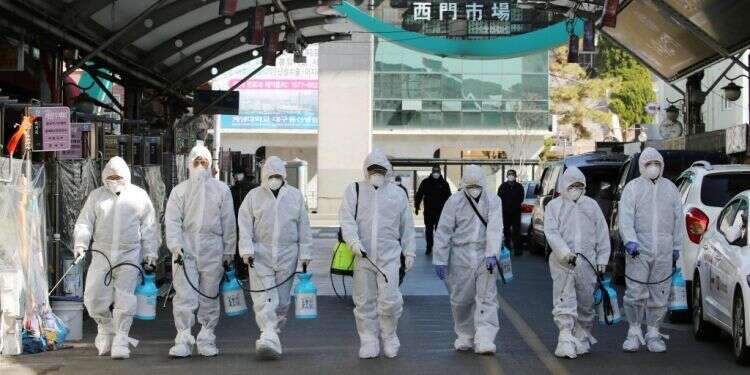 עובדי שוק בדרום קוריאה, מכוסים בחליפות מגן, מחטאים את המקום צילום: AFP שוטרים זועמים: אסרו עלינו לטוס לתאילנד