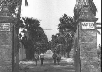 היקב הסודי והאימונים בשדה: ביה"ס ששימש מסתור לפעילות "ההגנה"