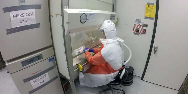 חוקר במעבדה המנסה למצוא מזור לקורונה. צילום: ,Robert Haupt University of Maryland School of Medicine מרוץ נגד הזמן: המעבדות שמחפשות תרופה לקורונה