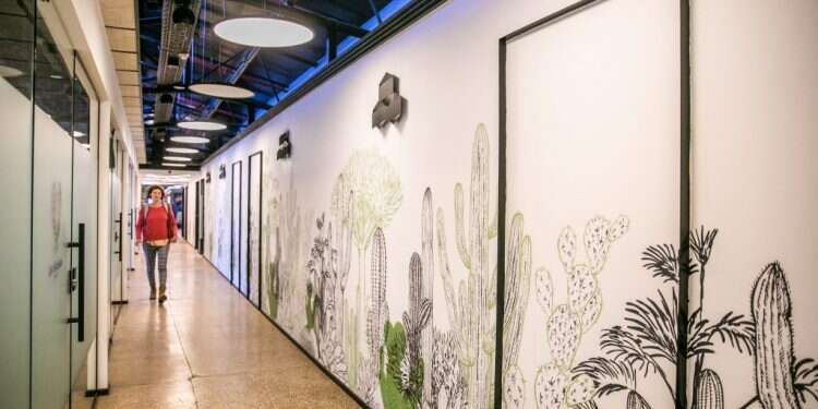 צילום: יוסי אלוני