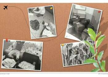 כך גויסו המוני צעירים חרדים להברחת גת לחו"ל