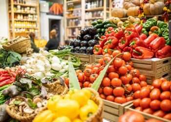 תפסיקו לחפש את הפנס, תתחילו להאיר איתו