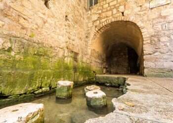 צילום: שאטרסטוק