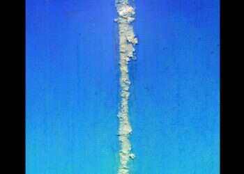 איור: מנחם הלברשטט