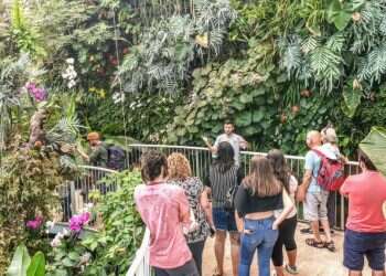 ט"ו בשבט הגיע ואיתו שלל פעילויות לילדים