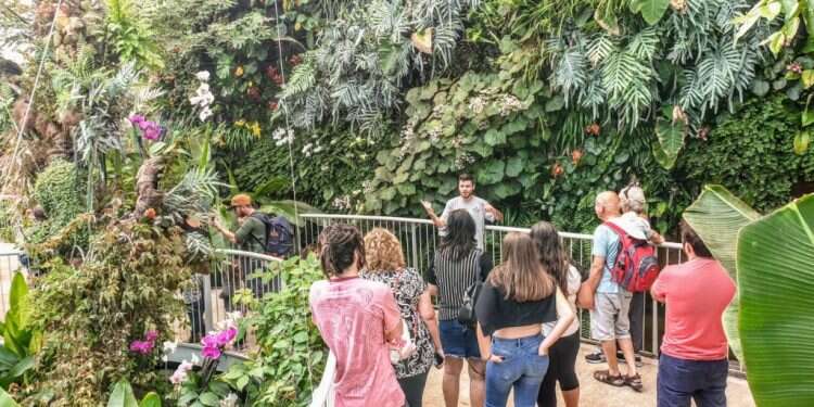 ט"ו בשבט הגיע ואיתו שלל פעילויות לילדים