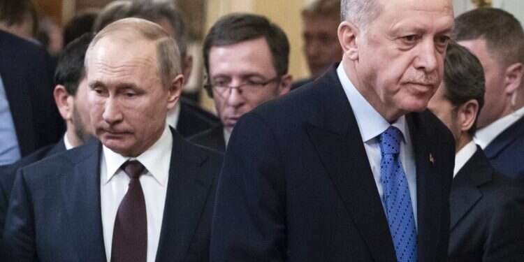 ארדואן ופוטין. צילום: AFP צילום: AFP