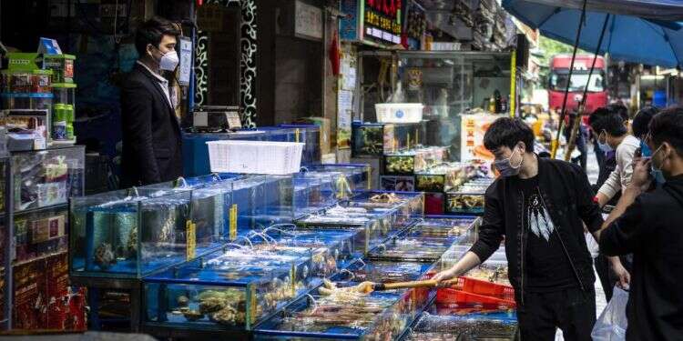 שוק מזון ימי בסין. צילום: EPA יחסם של הסינים לבעלי חיים הוא בעיה בינלאומית