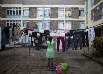 סדר יומו של כובס הנשמות