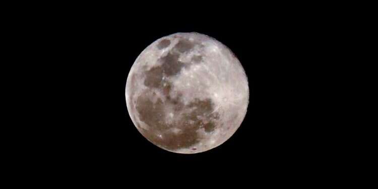 צילום: EPA דברים שאינם חדלים לעורר את הלב