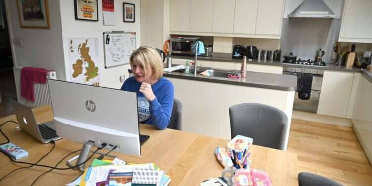 עבודה מהבית. צילום: EPA הטוב, הרע והמכוער: משבר הקורונה מהזווית הכלכלית