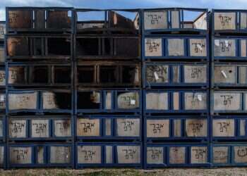 הטרור החקלאי חזר: מאות מכלי פרי הוצתו בגליל