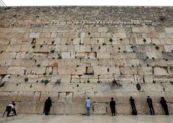 מול הטבע: האם נכון לשאוף להחזרת השגרה?