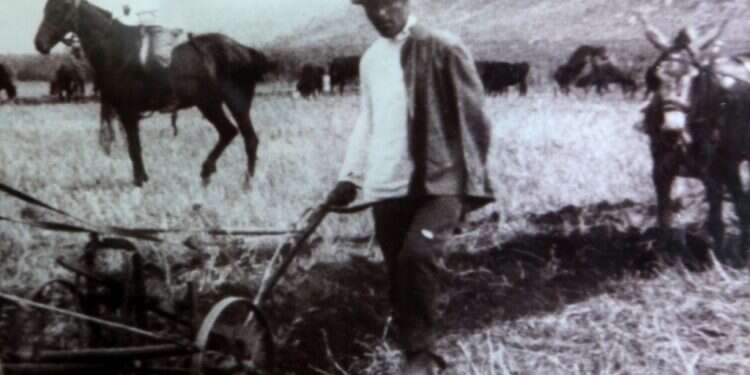 יוסף טרומפלדור. צילום: יוסי זמיר, פלאש 90 בימין ובשמאל: טרומפלדור היה מנהיג בקונסנזוס