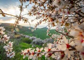 דווקא בימי ההסגר: הטבע הוא התרופה הטובה ביותר