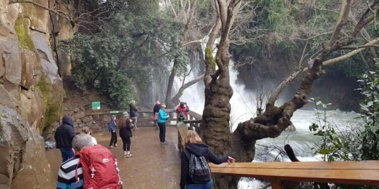 מטיילים בשמורת הבניאס ברמת הגולן. צילום: TPS תוצאות האמת: הליכוד מוביל, הימין מתנדנד על 59