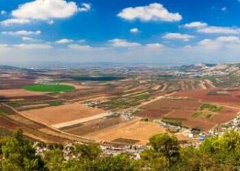 הרב קוק לא היסס להשתמש בכוחה של הרבנות הראשית כדי לאלץ לשמור שבת וכשרות