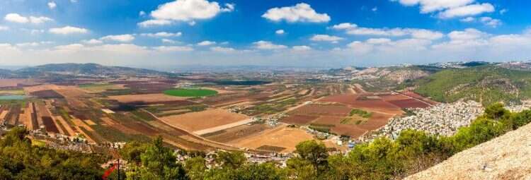 הרב קוק לא היסס להשתמש בכוחה של הרבנות הראשית כדי לאלץ לשמור שבת וכשרות
