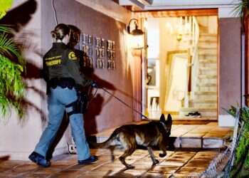 מבצע נגד הקרטל במקסיקו: 250 נעצרו ו־600 ק"ג סמים נתפסו