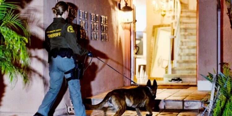 מבצע נגד הקרטל במקסיקו: 250 נעצרו ו־600 ק"ג סמים נתפסו