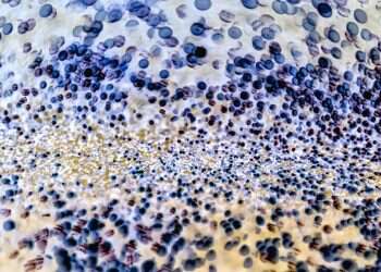 חמישה דברים שלא ידעתם על חיידקים