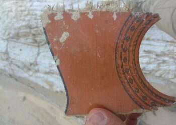 מהפריטים של זושא שנמצאו נמשכים החיפושים אחרי הנעדר זושא ברנדווין