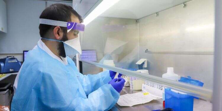 לוחמה סטרילית: הצצה לפעילות החוקרים במעבדות הקורונה