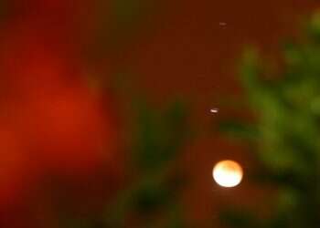 לשמור על הקבוע והמאחד