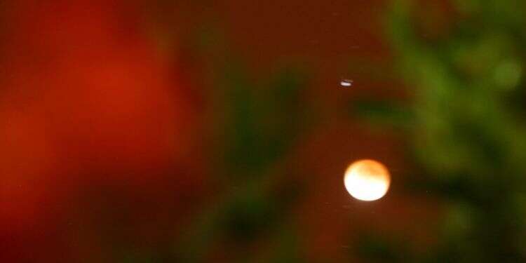 לשמור על הקבוע והמאחד