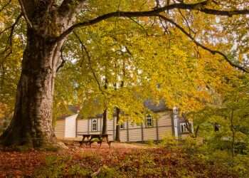 כיצד מגדירים חז"ל את אישיותו של האדם?