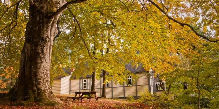 כיצד מגדירים חז"ל את אישיותו של האדם?