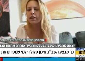 התרמית של סבן, חוסר האחריות של לפיד