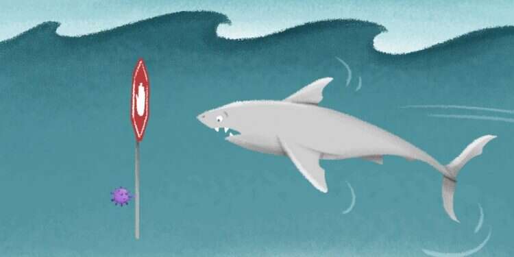 איור: נעמה להב איור: נעמה להב