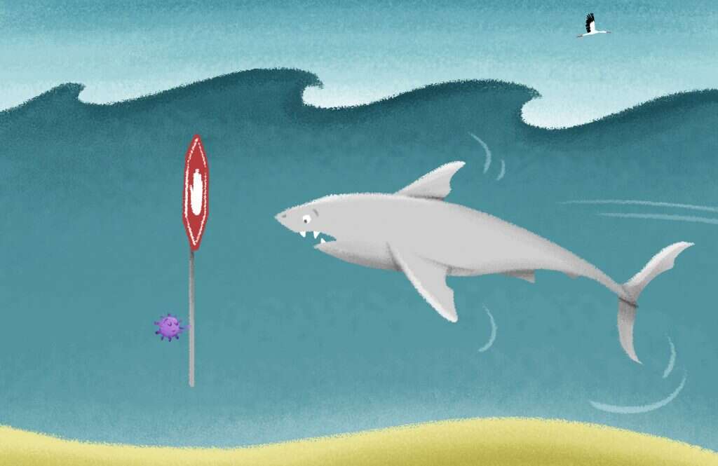 איור: נעמה להב