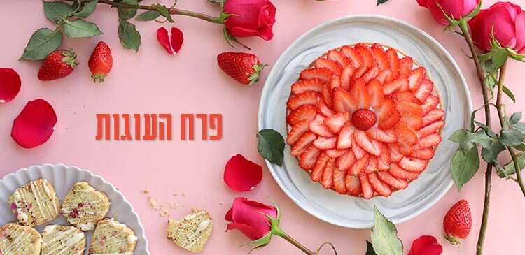 צילום: אפרת ליכטנשטט