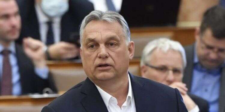 אורבן. צילום: אי.פי.איי החוק שמעניק לראש ממשלת הונגריה סמכויות בלתי מוגבלות