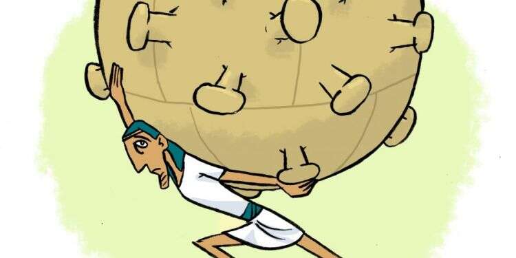 איור: שי צ'רקה איור: שי צ'רקה