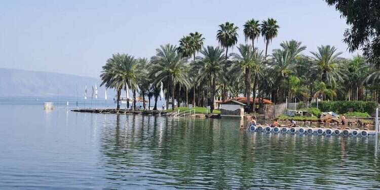 הכנרת. צילום: יאיר קראוס סיכום עונה בכנרת: "השנה זכינו שגם עקומת המפלס השתטחה"