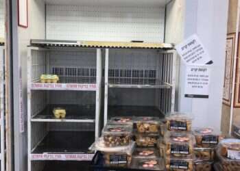 לתרנגולות אין קורונה, אז למה אין ביצים בסופר?