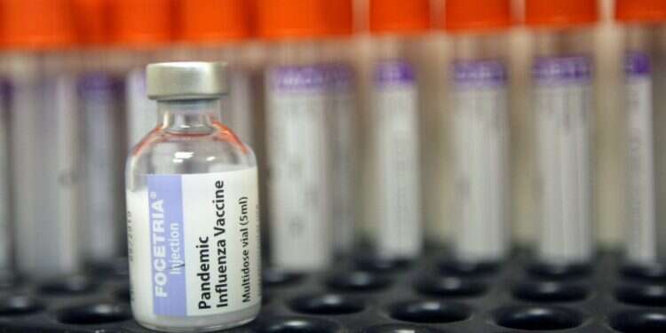 חיסון נגד שפעת החזירים, 2009 . אילוסטרציה. צילום: קובי גדעון, פלאש 90 תעודת שליש לקורונה: מי המצטיינים ומי טעוני השיפור?