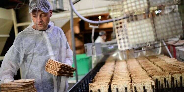 מפעל מצות אביב בבני־ברק. צילום: תומר נויברג, פלאש 90 משבר הקורונה העצים את חשיבותה של המנהיגות המקומית