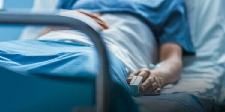 אילוסטרציה. צילום: שאטרסטוק "מצבם של הסיעודיים חולי קורונה קטסטרופה"