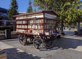 האדם מחפש משמעות והארי פוטר: קריאה בימי קורונה