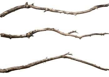 יכולתי לנצח ב-"3 מקלות", לולא אחי הגדול