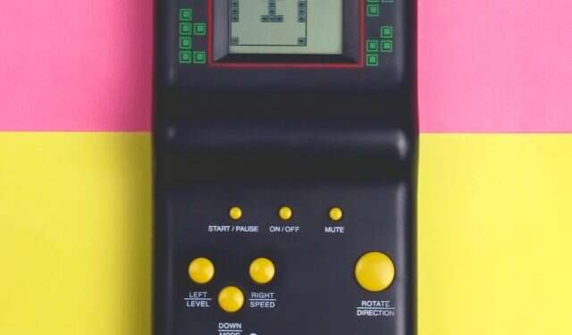 צילום: שאטרסטוק