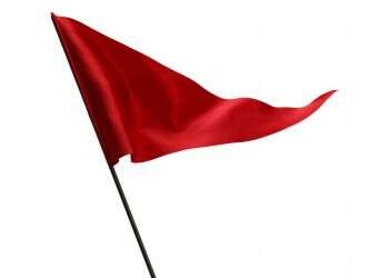 הדגל שניצח את המערכת